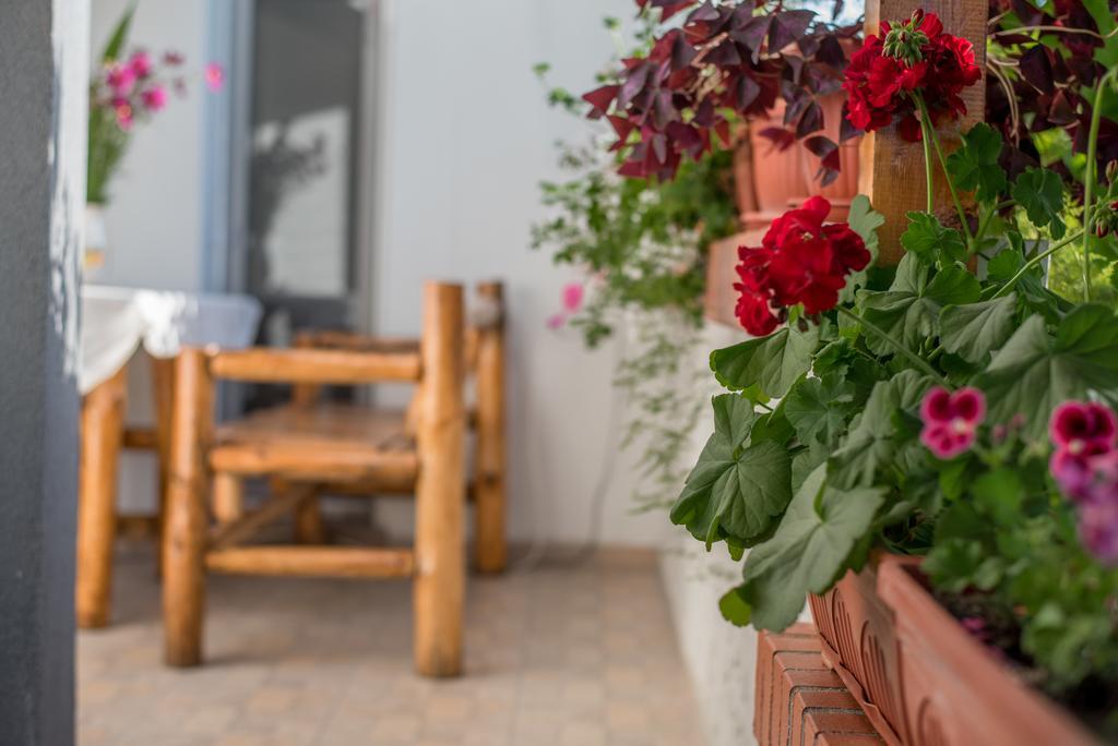 Guesthouse Juli Sapareva Banja Exteriör bild